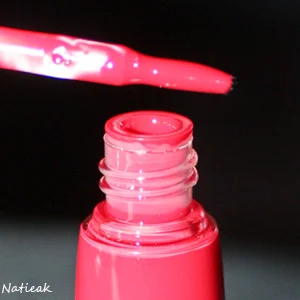 Gloss nutri Protecteur   3 en 1 de Biolèvres teinte Fushia et  le rouge vif