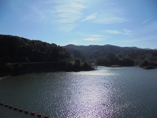 ダムの近くの緑水湖の風景