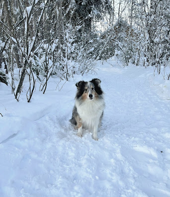 Päivänpaisteen Hepsankeikka, Kuura.