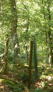 P1260740