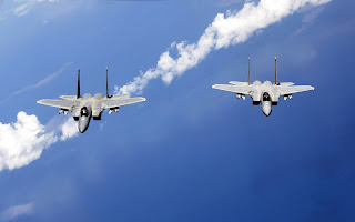 f 15 eagles from the air national guard (55)