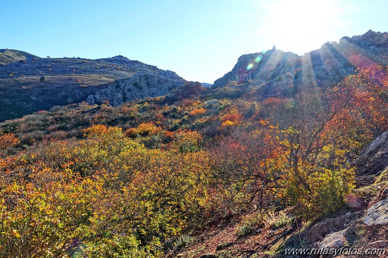 Cornicabral del Valle de Lifa