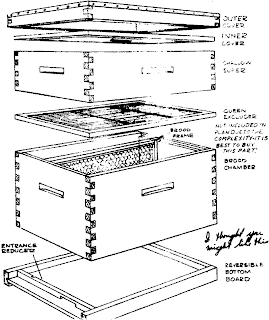 Artisan Farmstead Living: Setting Up a Beehive Part 1