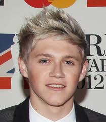 NIALL HORAN ONE DIRECTION HAIRSTYLE