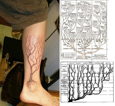 Evolution Tattoos