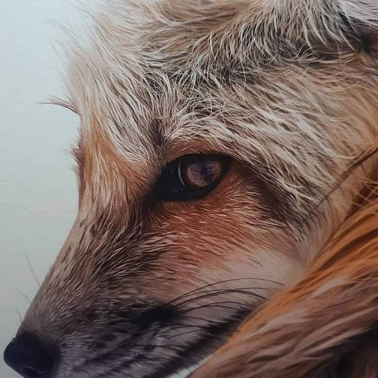 Joanna Smith instagram arte desenhos lápis animais cães hiper-realistas