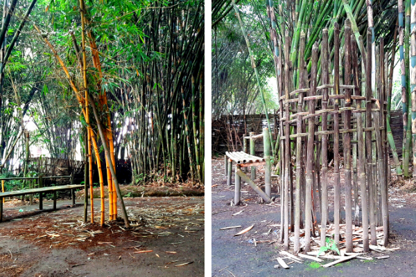 hutan-bambu-lumajang