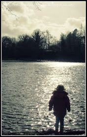 sunshine on water, Lake Wood, Woodland Trust