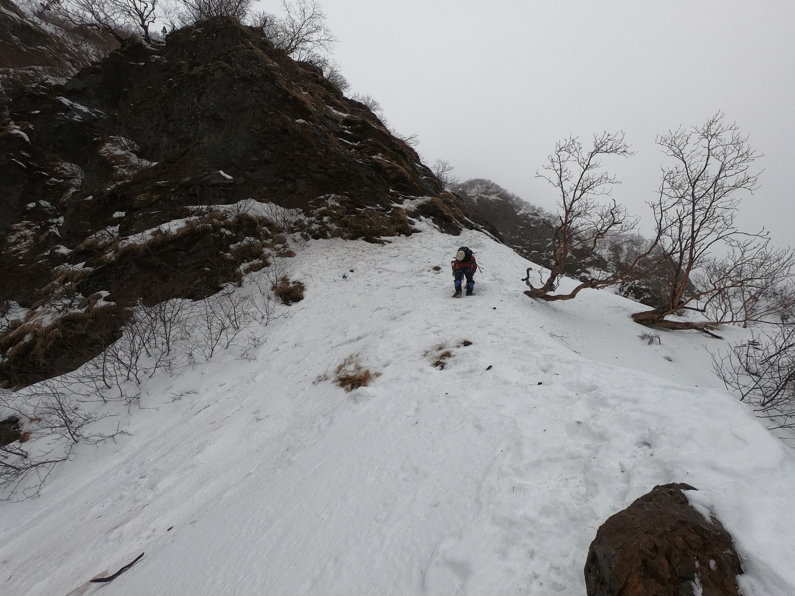 茅ヶ崎山岳会ブログ 2月