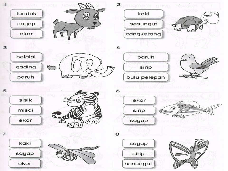 Soalan Teka Silang Kata Sains J Kosong R