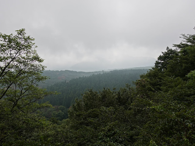 香取の大休峠に向かう山道を降ります