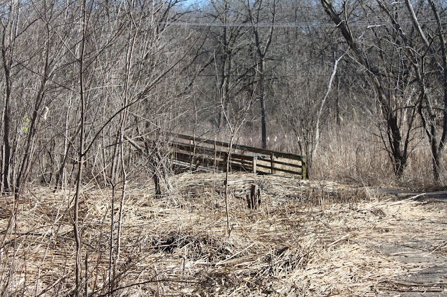 Bridge at Hawthorne Hill Nature Center in Elgin, IL