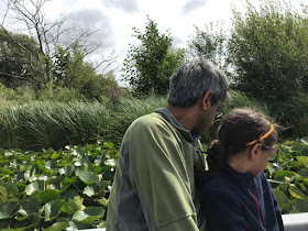 Boat ride at Arundel WWT