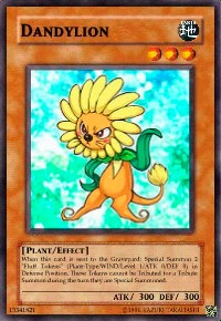 dandylion