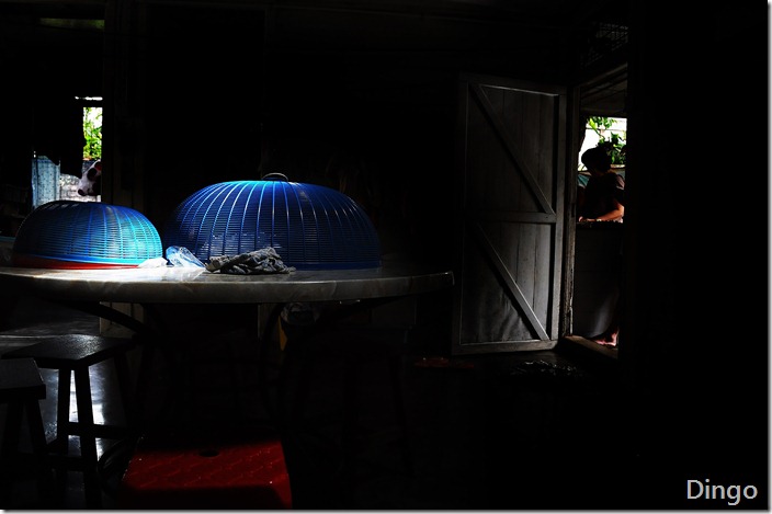 DSC_2966(2)