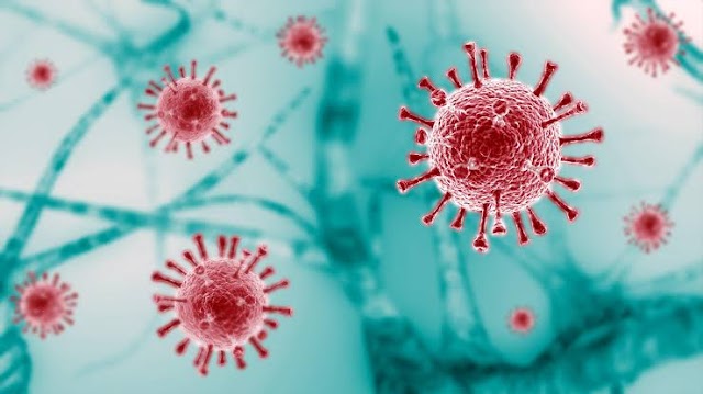 The COVID-19 Pandemic: Fallout and Implications for the Future