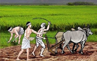 शेतकऱ्यांनी पेरणीची घाई न करण्याचे कृषि विभागाचे आवाहन