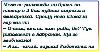 смях - Мъж се разхожда по брега на язовир