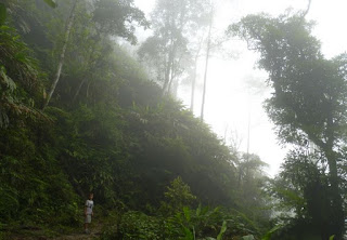 Trekking por Sapa.