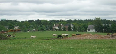 Colonie NY Crossings Summer Constantine Farm