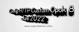 Config HTTP Custom 8 Juni 2022