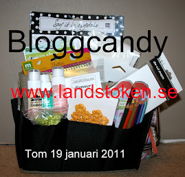 Bloggcandy 2011