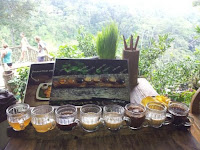 Bali Pulina Luwak Coffee