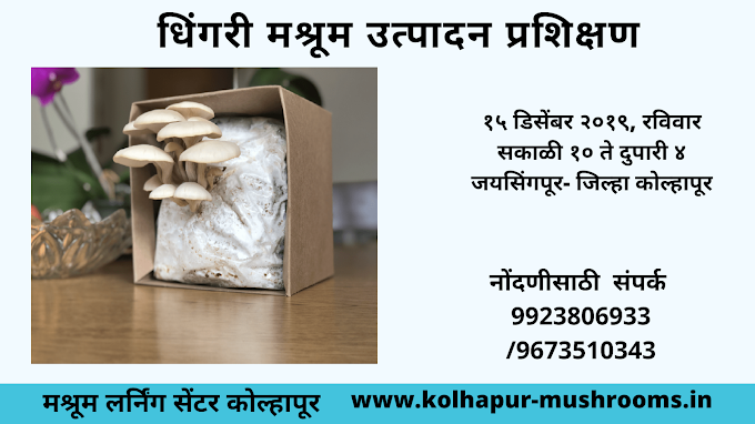 Oyster Mushroom Training December