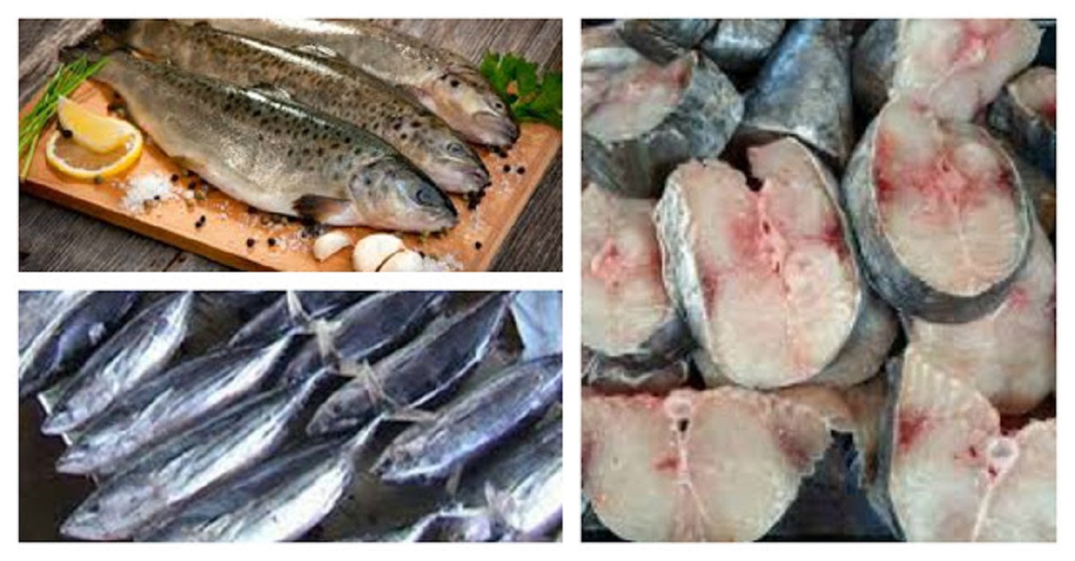 Awas Kenali Jenis  Ikan  Yang Banyak Mengandung Merkuri 