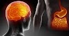  The Baffled Connection Between Stomach Succeeding and Vitamin D