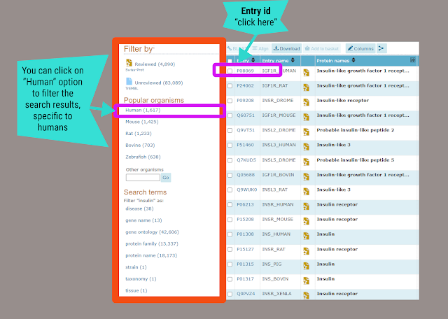 protein sequence | uniprot