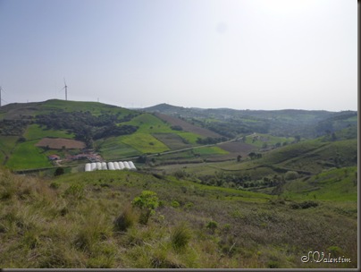 P1140500