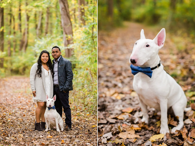 Brookside Gardens Engagement Photos