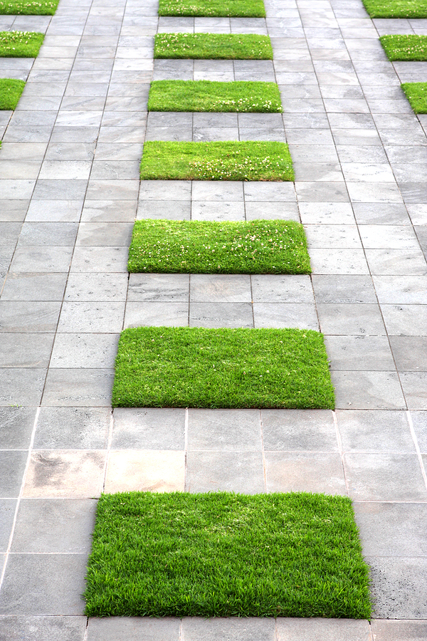 Serenity in the Garden: November 2012