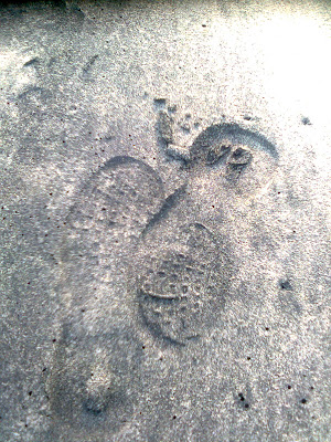 Foot Prints.....?