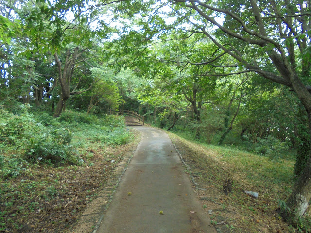 遺構展示館への細道を歩きます