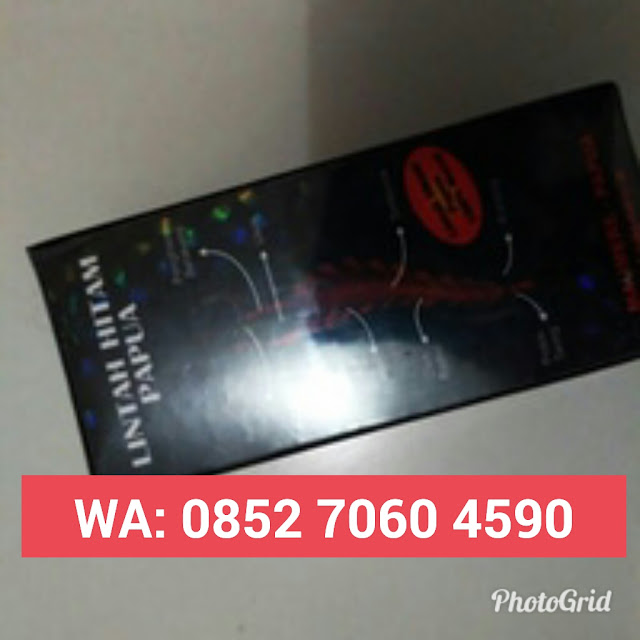 Jual Minyak Lintah Hitam Jakarta