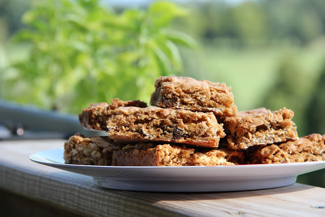 chocolate-peanut butter oat bars