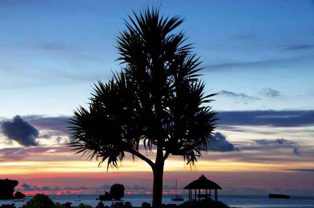 shillouette beach scene at sunset