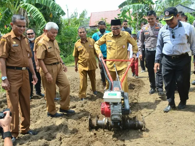 Wako Hendri Septa Launching Gerakan Menanam Cabai