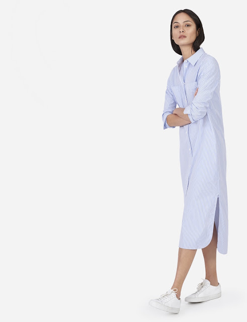 Everlane shirt dress