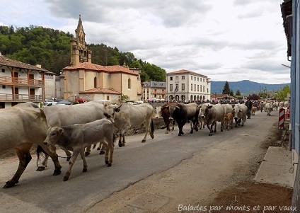 Ariège