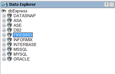 data explorer delphi