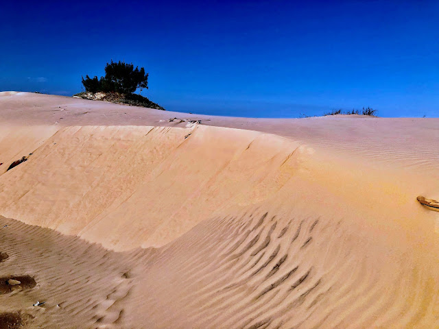 A foto mostra uma duna em processo de formação.