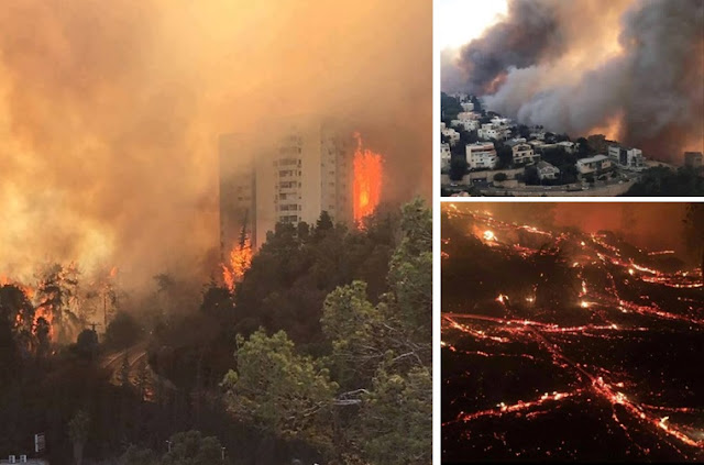 Kebakaran di Haifa Israel