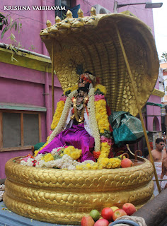 Sri Krishna Jayanthi, Kutty, Kannan, Purappadu,2016, Video, Divya Prabhandam,Sri Parthasarathy Perumal, Triplicane,Thiruvallikeni,Utsavam,