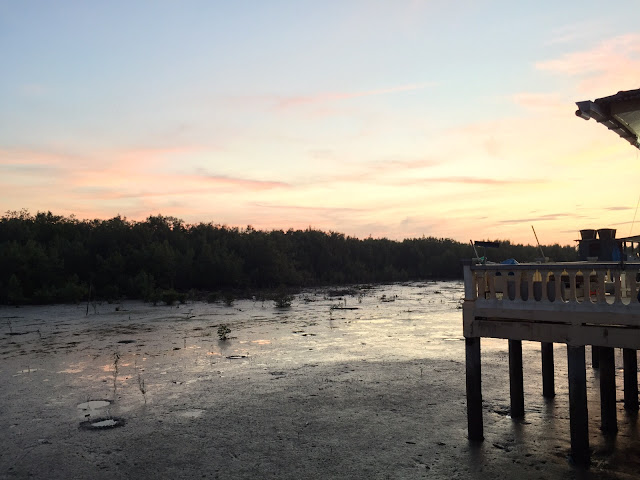 kukup mangrove forest sunset