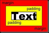 padding margin untuk website design