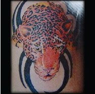 animal tattoos design