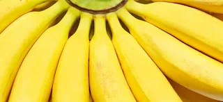 Banana facts and trivia